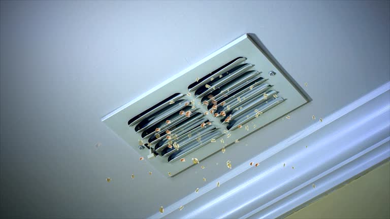 Best Air Duct Cleaning Near Me  in Rocky Point, NC