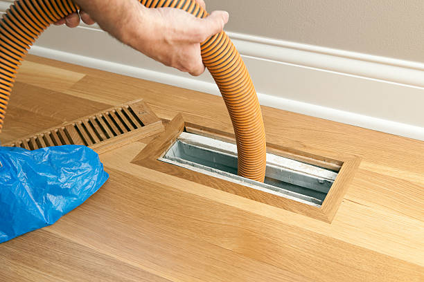 Best Local Air Duct Cleaning Services  in Rocky Point, NC